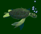 small-turtle-animation.gif image by Exalted_Poet