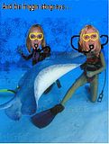 stingrays.jpg image by Sum7563