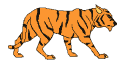 th_tiger_walking.gif